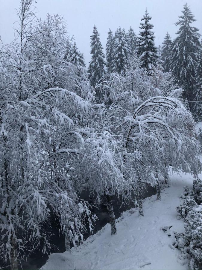 Le Chalet Du Narouel Жерарме Екстер'єр фото